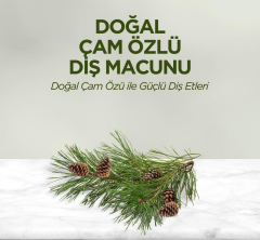 Eyüp Sabri TuncerDoğal Çam Özlü Diş Macunu 90ml